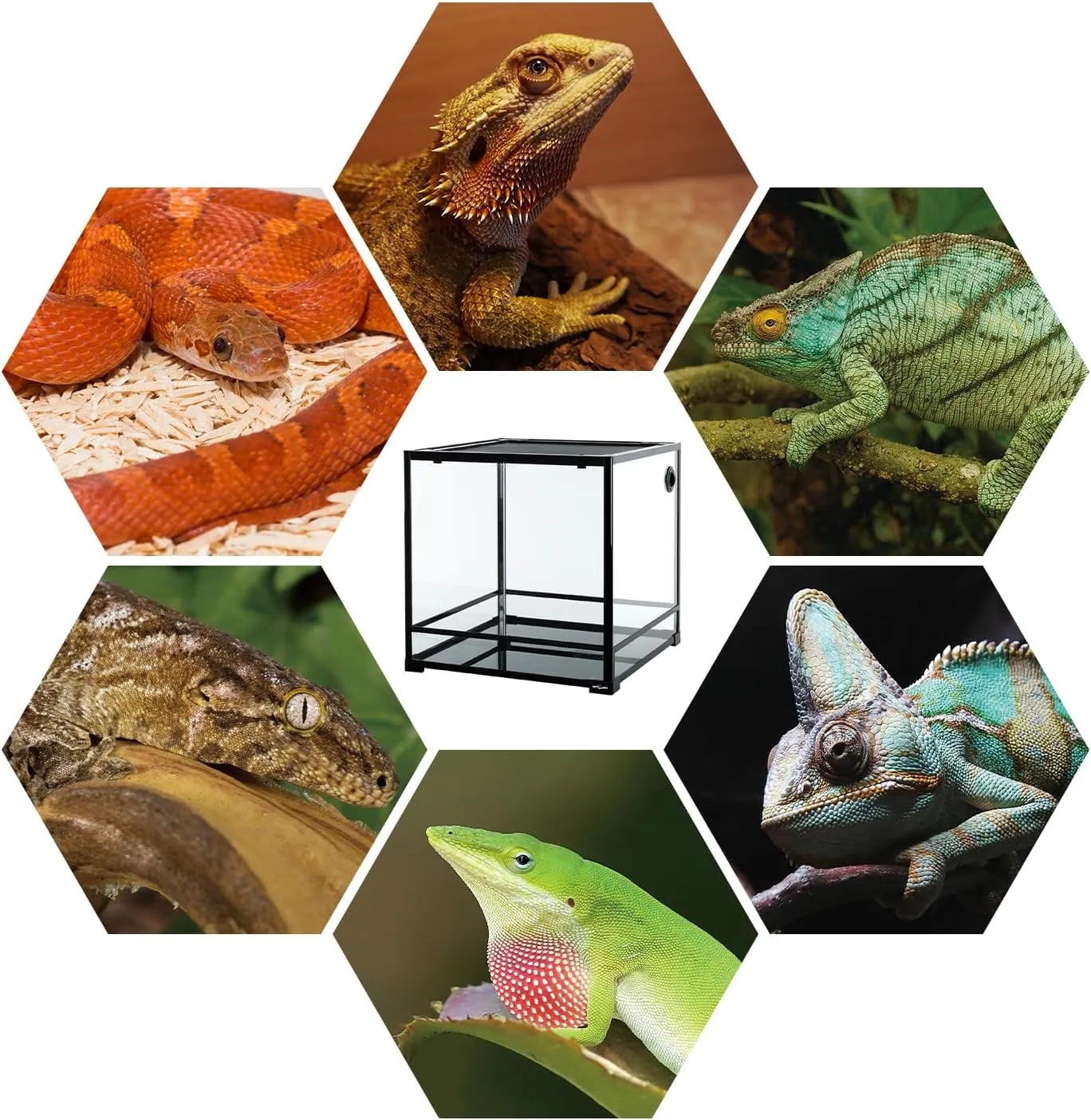 60 Gallon Reptile Tank 24x24x24inch Front Opening Terrarium With Double Hinge Door