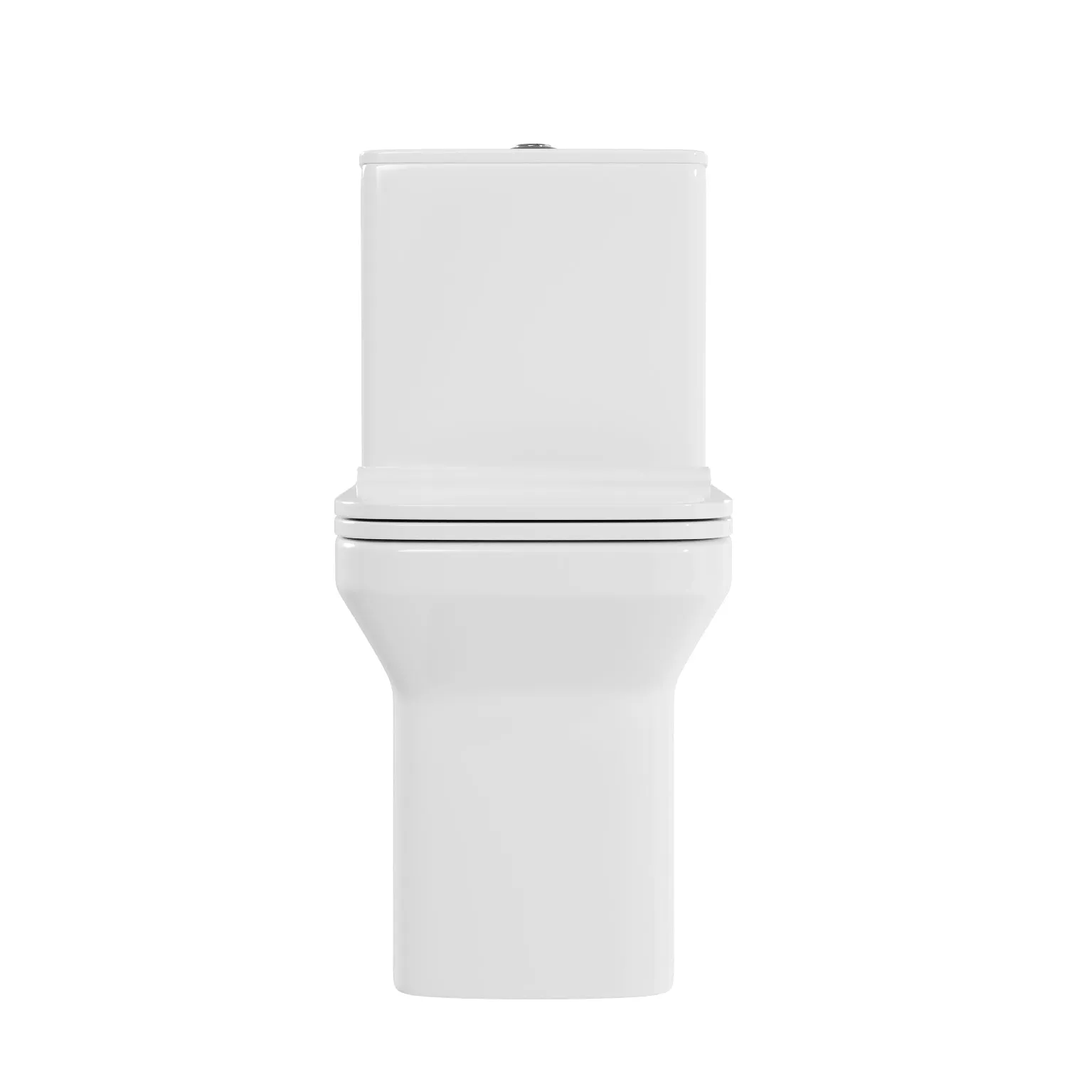 ACE One-Piece Square Toilet, 12" Rough-in Dual-Flush