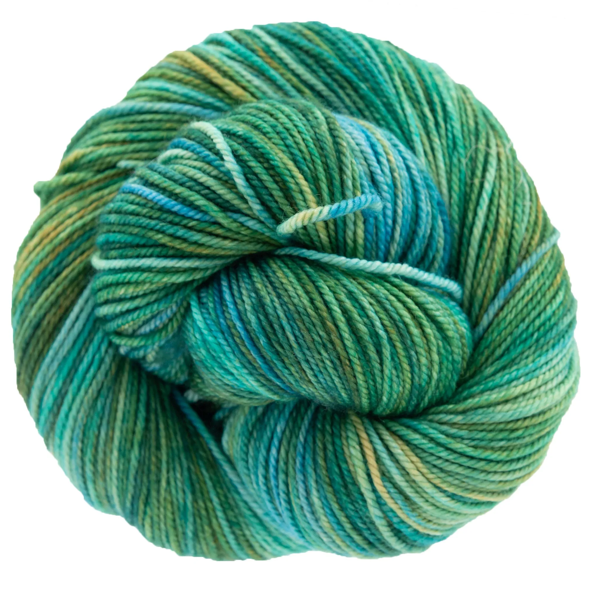 Dream in Color Cosette Yarn - Shuyler Lake