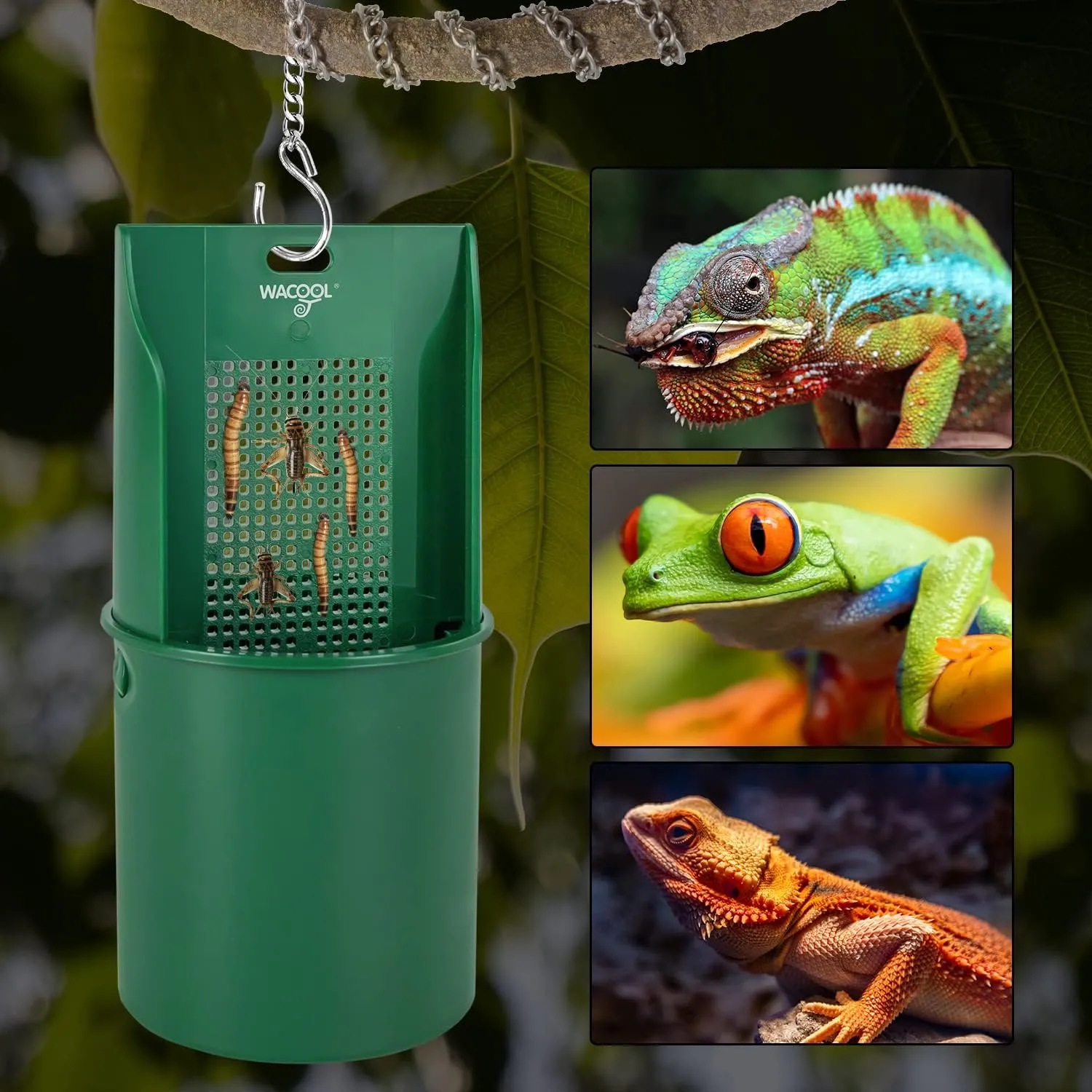 Hanging Reptile Feeding Bowl with Grid Plate for Bugs Climbing & Move, Arboreal Reptile Climbing Feeder Bowl for Feeding Chameleon, Lizard, Iguana, Gecko, Frog