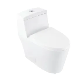 PRISM One-Piece Elongated Toilet, Dual-Flush Glazed Surface with Multiple Colors