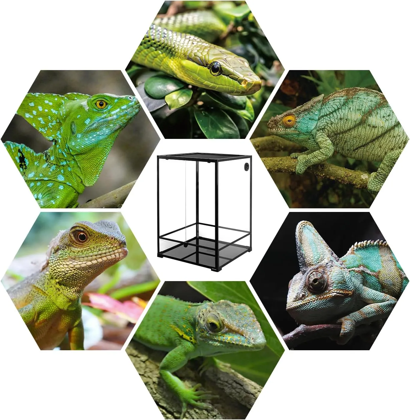 REPTIZOO 90 Gallon 24" x 24" x 36" Large Glass Tall Reptile Terrarium with Front Opening Door and Top Screen Ventilation