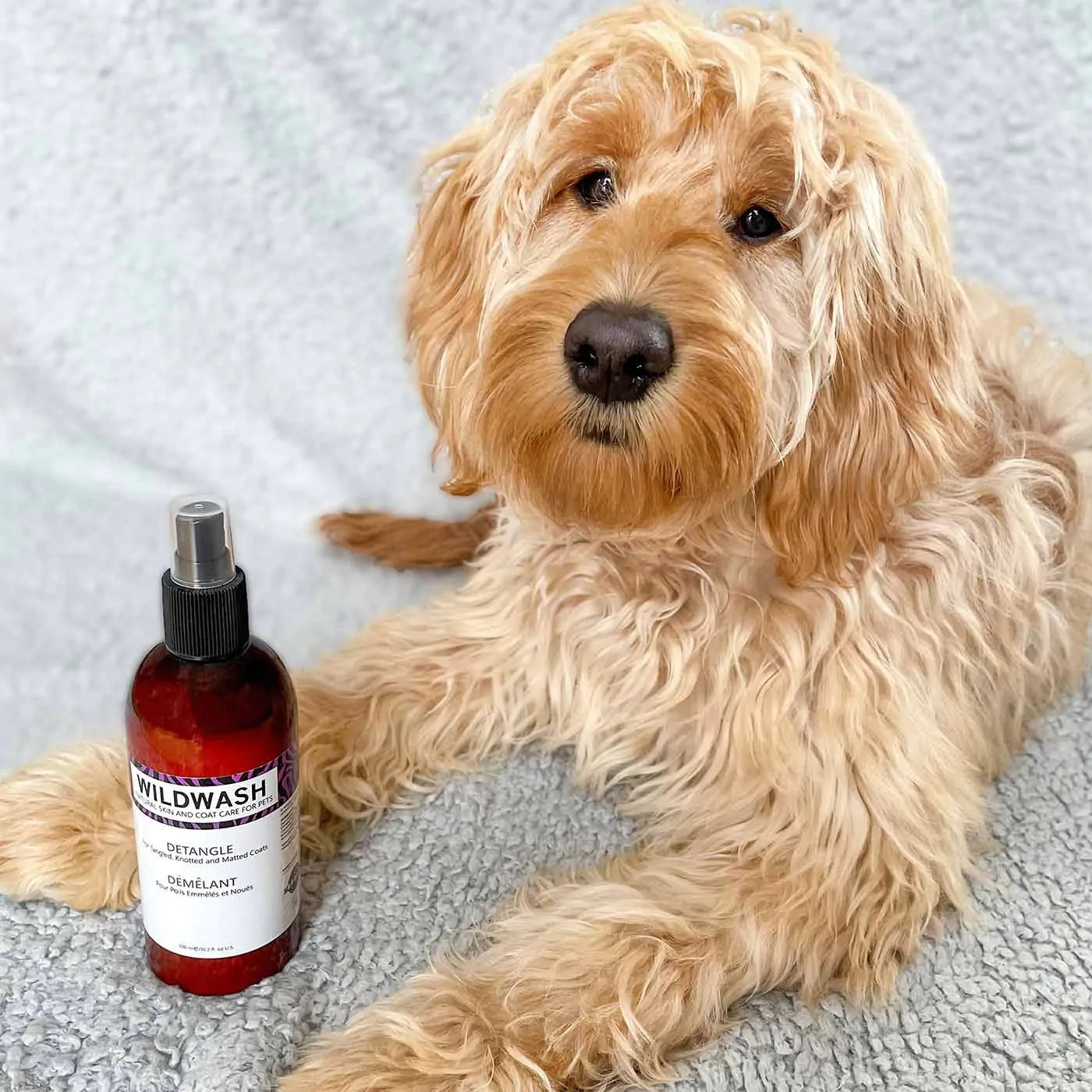 WildWash Detangle Spray for Dogs