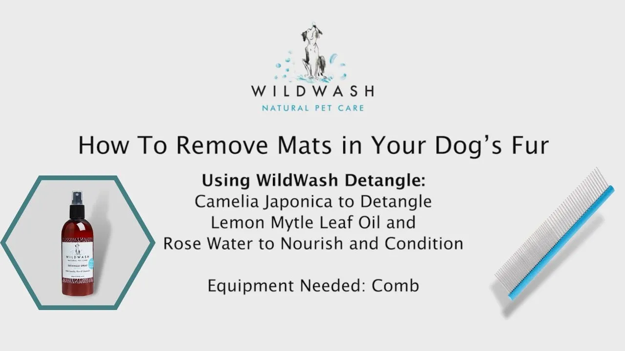 WildWash Detangle Spray for Dogs