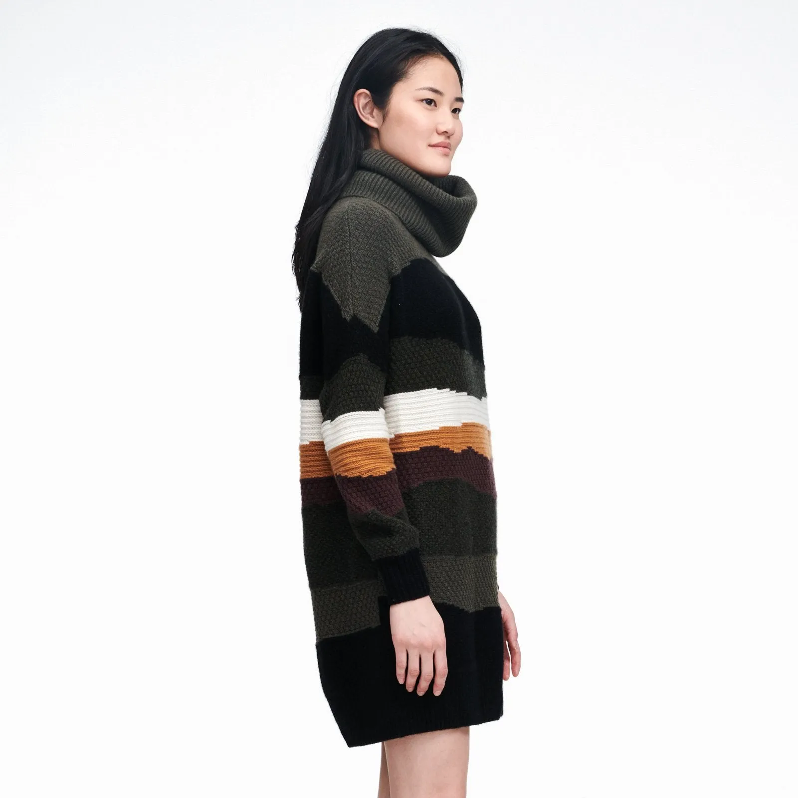 Wool Cashmere Color Block Turtleneck Sweater Dress